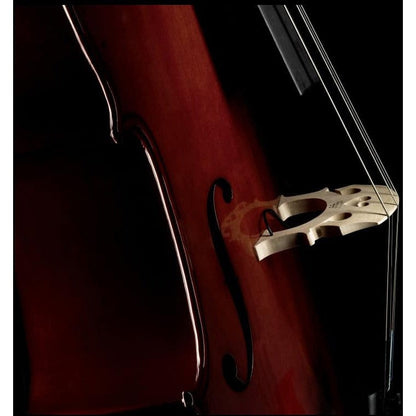 Fishman Concert Series C-200 Cello Pickup