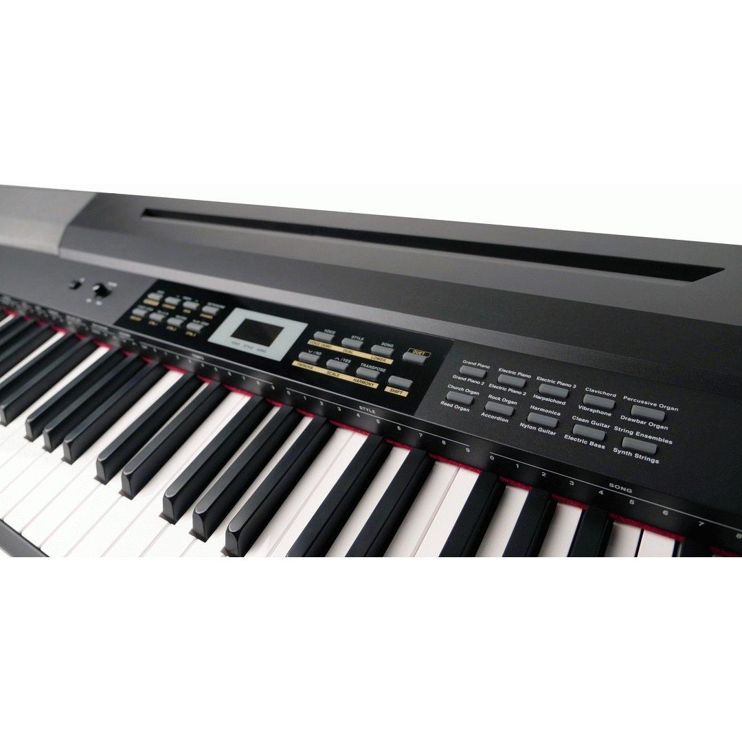 Beale DP300 Digital Piano