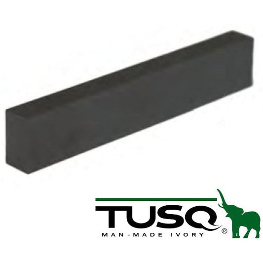 Black TUSQ Graph Tech Acoustic/Electric Nut GT244