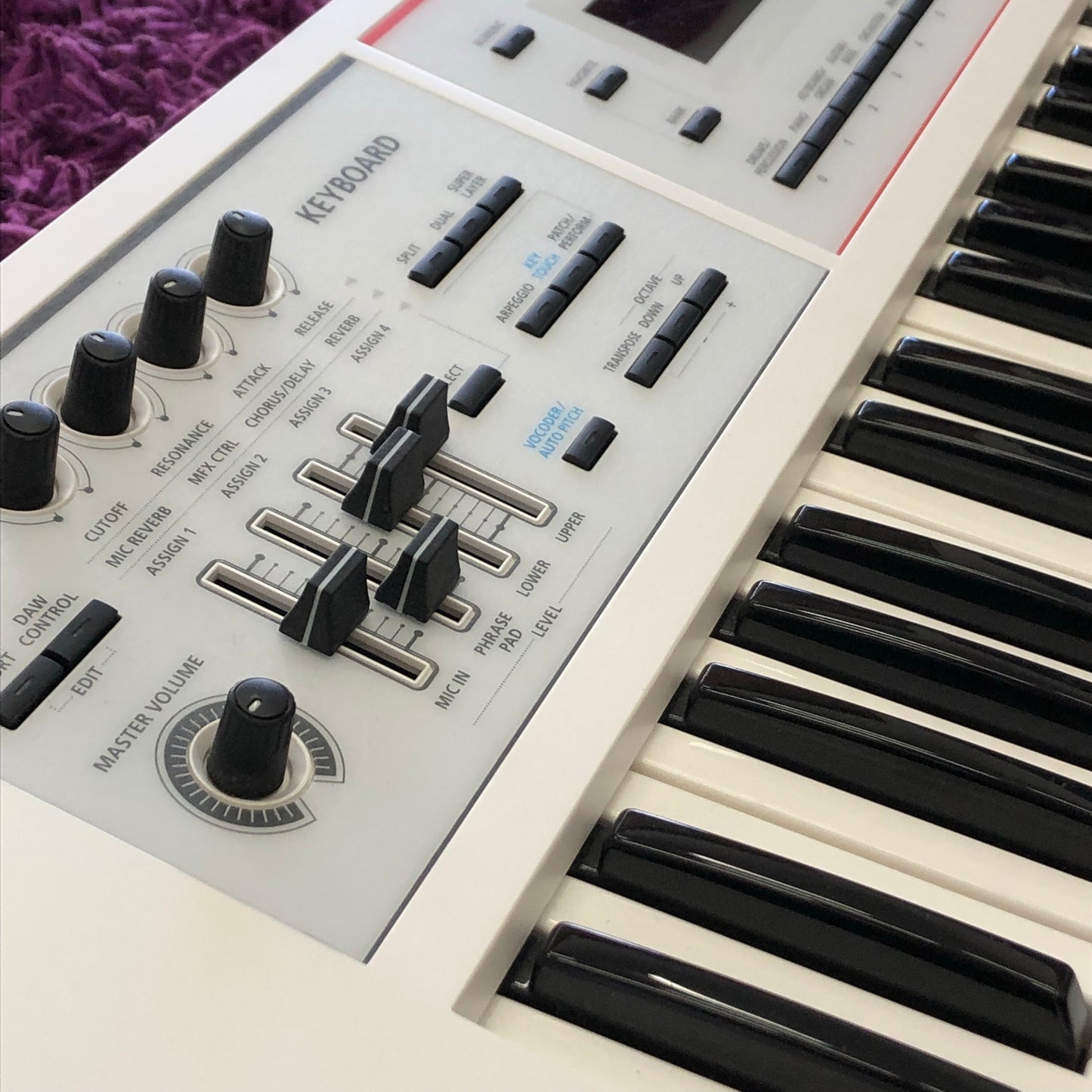 Roland JUNO-DS61 61-Key Synthesizer (Japanese Exclusive White)