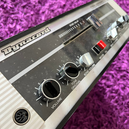 Dynacord Echocord Mini 1970s Tape Echo